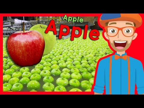 , title : 'Fruit for Kids with Blippi | Apple Fruit Factory Tour'