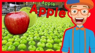 Fruit for Kids with Blippi | Apple Fruit Factory Tour