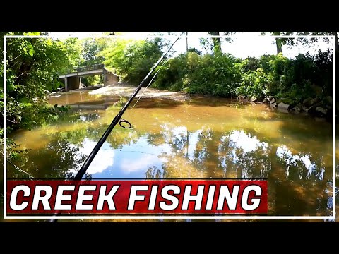 Realistic Creek Fishing with Trout Magnets and Creek Fishing Lures