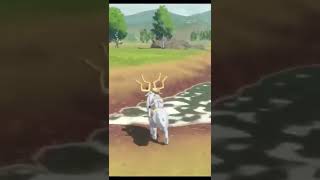 【配信中】色違いオヤブンと自然遭遇
