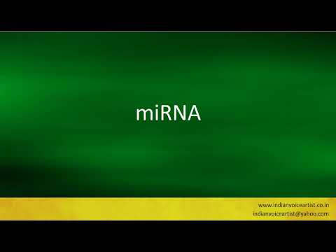 Pronunciation of the word(s) "miRNA".