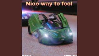 Nice way to feel Music Video
