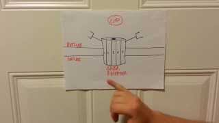 How Xanax (Alprazolam) Works -- The GABA Complex