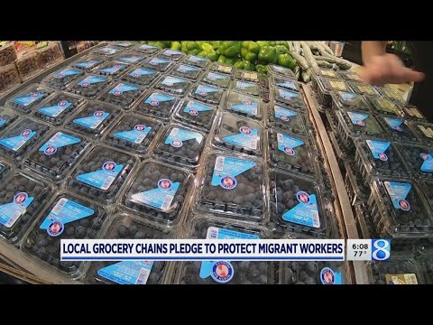 download lagu mp3 mp4 Grocery Store Chains In Michigan, download lagu Grocery Store Chains In Michigan gratis, unduh video klip Grocery Store Chains In Michigan