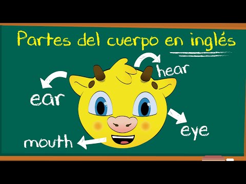 Las Partes del Cuerpo en Inglés | Cuerpo Humano en Inglés | La Cabeza en Inglés