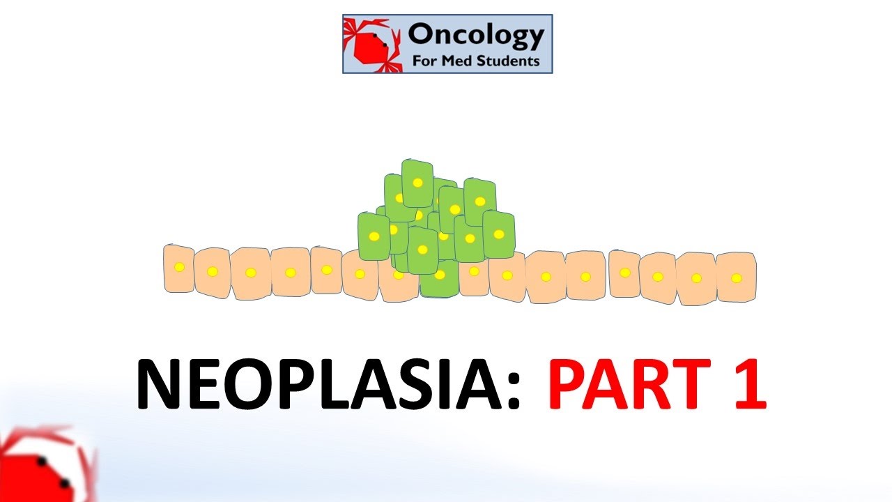 1. Neoplasia part 1: definition, how it relates to cancer