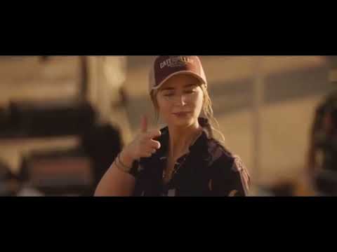 The fall guy (unknown stuntman)