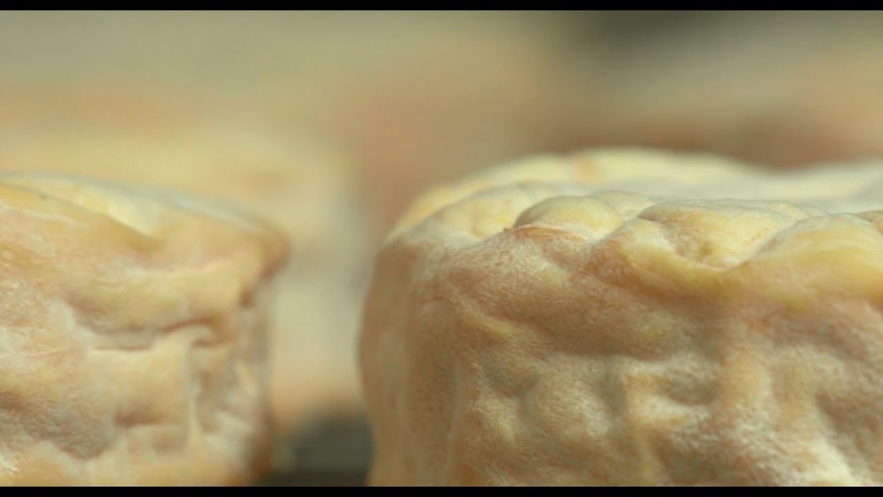 #LincetStory n°5 : Epoisses Lincet, une forte personnalité