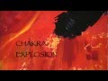 David Young Music  - Chakra Explosion