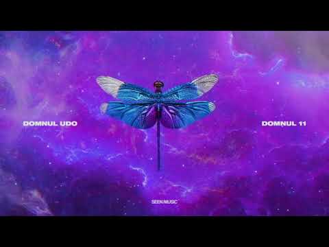 Domnul Udo - Trap House feat. NANE, NOSFE, Shift, Killa Fonic (Audio)