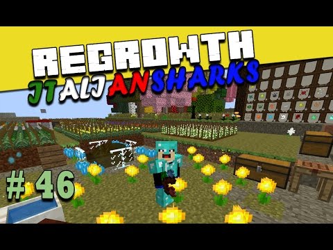 Regrowth Minecraft ITA Ep 46 - La foresta incantata - #minecraftita