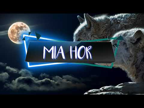 New kokborok song|Zwing Lee Mia hor|kokborok video