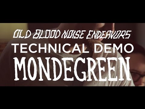 Old Blood Noise Endeavors Mondegreen Delay Technical Demo