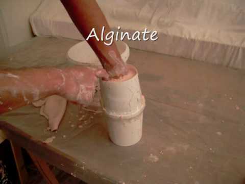 comment prendre alginate de sodium