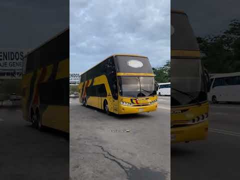 Para Tiiiíiiiíiiiiiiiiii Expresos Los Llanos Desde El Estado Táchira