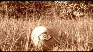 The Paper Trains - Annabelle