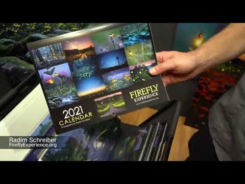 Firefly Experience Calendar 2021