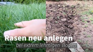 Rasen neu anlegen auf Lehmboden - Rasenaussaat und Nachsaat bei schwierigen Böden