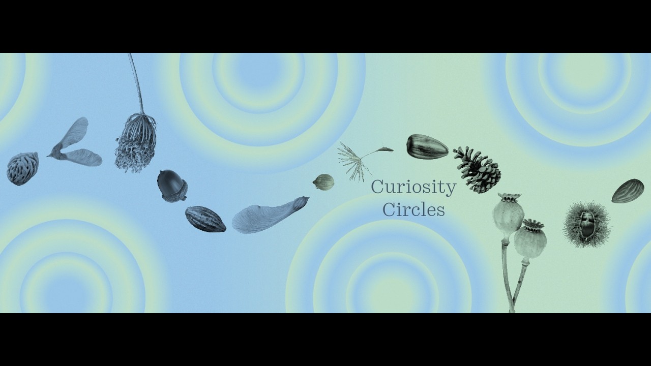 Collective Imagination Curiosity Circles Open Session