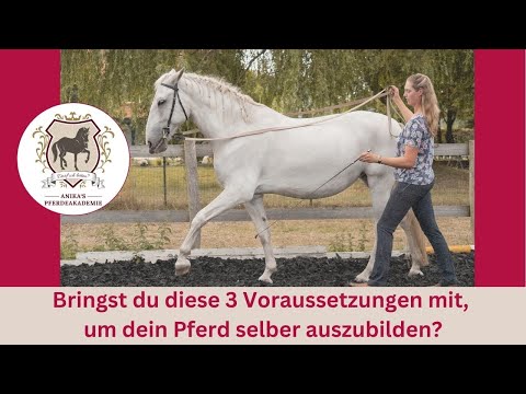 Beritt oder selber ausbilden? Mit diesen 3 Voraussetzungen wirst du zum Trainer deines Pferdes.