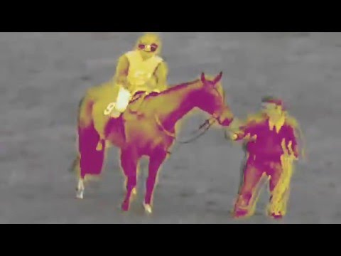 Horsebastard split with Rageous Intent music video