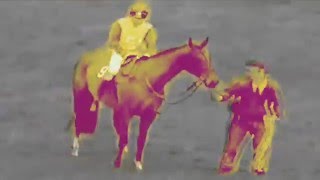Horsebastard split with Rageous Intent music video