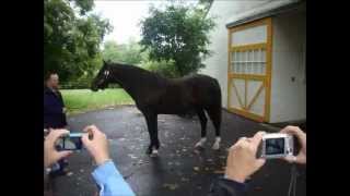 Caliborne Farms & Kentucky Horse Park 2012!