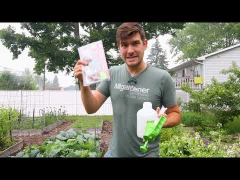 There Are TRILLIONS Of These Microscopic Superheroes In Your Garden!