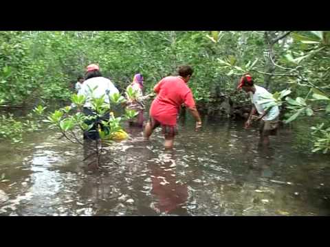 Women Mobilize to Protect Marine Habitat in the Philippines