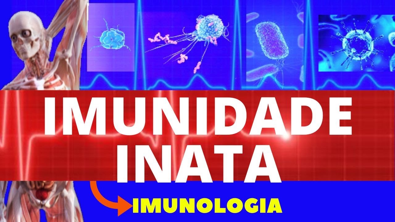 INTRODUÇÃO À IMUNIDADE INATA (ENSINO SUPERIOR) - SISTEMA IMUNOLÓGICO - IMUNOLOGIA