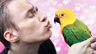 MON NOUVEL AMOUR Pirates, vikings & knights II 