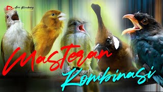 Download lagu KAPAS TEMBAK - KENARI - TENGKEK BUTO - CUCAK JENGGOT - CILILIN mp3