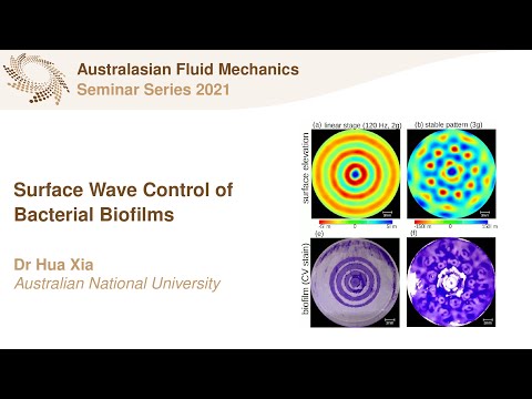 AFMS Webinar 2021 #7 - Dr Hua Xia (Australian National University)
