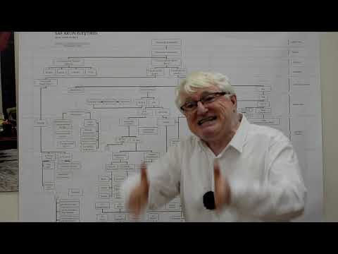 Kant Saf Aklın Eleştirisi 1