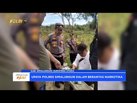 POLSEK RAYA POLRES SIMALUNGUN AMANKAN PENGEDAR NARKOBA