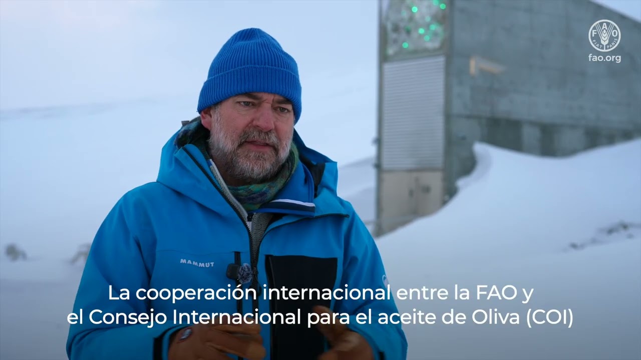 Las semillas de olivo llegan por primera vez al Depósito Mundial de Semillas de Svalbard