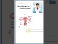 Medicine Tumor Marker for Ovarian Cancer CA 125