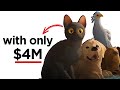 How Flow Beat Disney Dreamworks In The Oscars