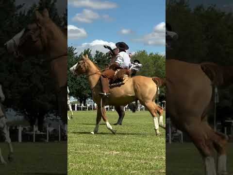 La arpillera en la Carlota, Córdoba