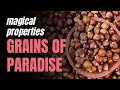 Magical Properties of Grains of Paradise