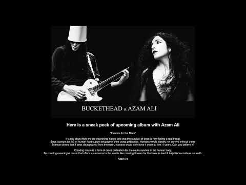 Buckethead - Here is a sneak peek of upcoming album with Azam Ali