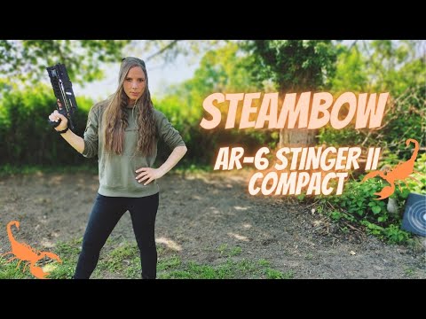 STEAMBOW AR-6 Stinger II COMPACT - Vorstellung + Schusstest !!