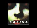 Saliva - Groovy