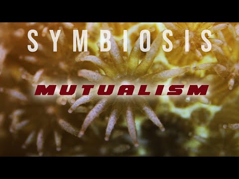 Symbiosis: Mutualism