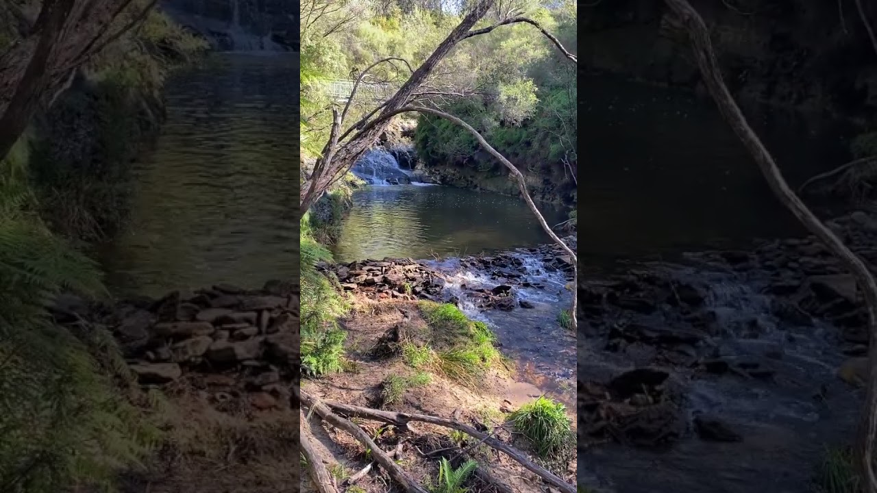 YouTube Short thumbnail