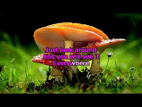 Martin Nievera Got To Look For It Karaoke