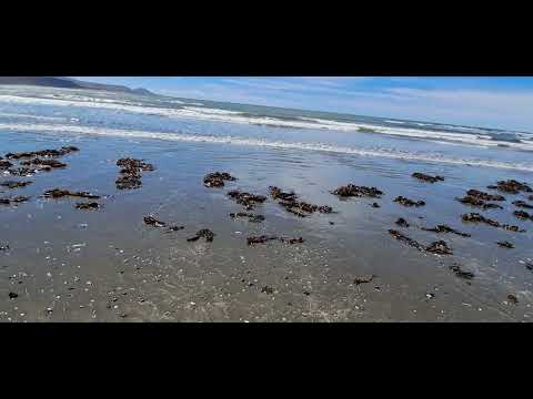 RADA TILLY, Comodoro Rivadavia, Chubut, Argentina (15-02-26)