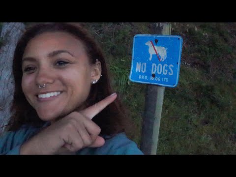 Sailing to San Rafael Yacht Harbor for our FIRST ever HAULOUT | Sailing Trimaran Kraken 11