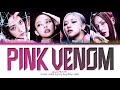 Black Pink Pink Venom Song Lyrics