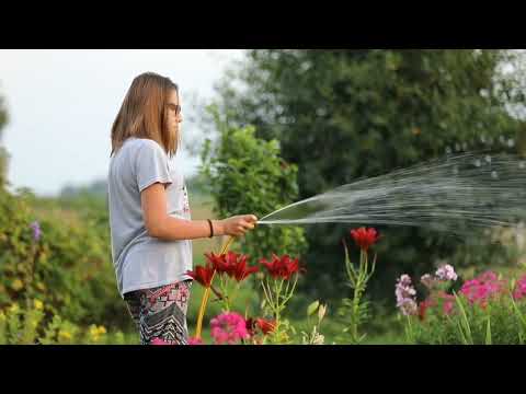 Watering flowers and plants | Natural beauty | Shamim Natural World